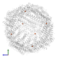 FE (III) ION in PDB entry 8en7, assembly 1, side view.