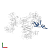 Voltage-dependent L-type calcium channel subunit beta-3 in PDB entry 8eoi, assembly 1, front view.