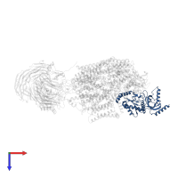 Voltage-dependent L-type calcium channel subunit beta-3 in PDB entry 8eoi, assembly 1, top view.