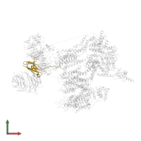 ER membrane protein complex subunit 7 in PDB entry 8eoi, assembly 1, front view.