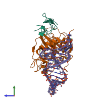 Hetero trimeric assembly 1 of PDB entry 8epk coloured by chemically distinct molecules, side view.