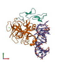 Hetero trimeric assembly 2 of PDB entry 8epk coloured by chemically distinct molecules, front view.