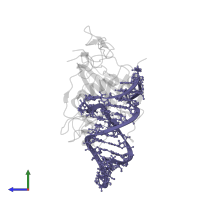 RNA (31-MER) in PDB entry 8epk, assembly 1, side view.