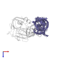 RNA (31-MER) in PDB entry 8epk, assembly 1, top view.