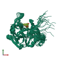 PDB entry 8epy coloured by chain, ensemble of 20 models, front view.