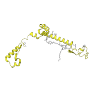 The deposited structure of PDB entry 8esw contains 1 copy of Pfam domain PF09782 (NADH:ubiquinone oxidoreductase, NDUFB6/B17 subunit) in NADH dehydrogenase [ubiquinone] 1 beta subcomplex subunit 6. Showing 1 copy in chain R [auth B6].