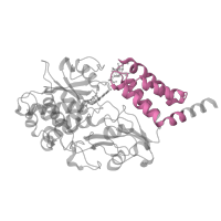 The deposited structure of PDB entry 8esw contains 1 copy of Pfam domain PF10589 (NADH-ubiquinone oxidoreductase-F iron-sulfur binding region) in NADH dehydrogenase [ubiquinone] flavoprotein 1, mitochondrial. Showing 1 copy in chain HA [auth V1].