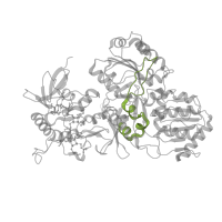 The deposited structure of PDB entry 8esw contains 1 copy of Pfam domain PF09326 (NADH-ubiquinone oxidoreductase subunit G, C-terminal) in NADH-ubiquinone oxidoreductase 75 kDa subunit, mitochondrial. Showing 1 copy in chain C [auth S1].