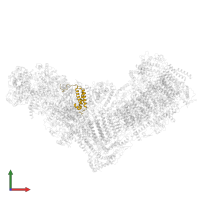 RH11203p in PDB entry 8esw, assembly 1, front view.