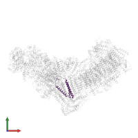 NADH-ubiquinone oxidoreductase chain 3 in PDB entry 8esw, assembly 1, front view.