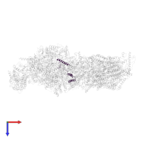 NADH-ubiquinone oxidoreductase chain 3 in PDB entry 8esw, assembly 1, top view.