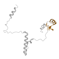 The deposited structure of PDB entry 8ets contains 1 copy of Pfam domain PF08265 (YL1 nuclear protein C-terminal domain) in Chromatin-remodeling complex subunit IES6. Showing 1 copy in chain C [auth S].