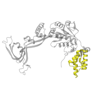 The deposited structure of PDB entry 8ets contains 3 copies of Pfam domain PF17856 (TIP49 AAA-lid domain) in RuvB-like protein 1. Showing 1 copy in chain F [auth V].