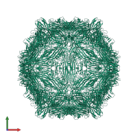 Capsid protein in PDB entry 8eu6, assembly 1, front view.