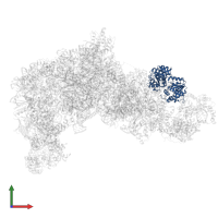 ATP-dependent RNA helicase has1 in PDB entry 8ev3, assembly 1, front view.