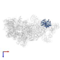 ATP-dependent RNA helicase has1 in PDB entry 8ev3, assembly 1, top view.