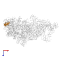 Large ribosomal subunit protein uL6A in PDB entry 8ev3, assembly 1, top view.