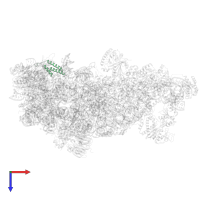 Probable nucleolar GTP-binding protein 1 in PDB entry 8ev3, assembly 1, top view.