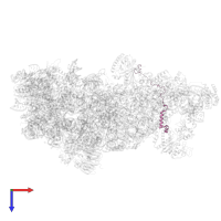 Ribosome biogenesis protein erb1 in PDB entry 8ev3, assembly 1, top view.