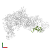 Pescadillo homolog in PDB entry 8ev3, assembly 1, front view.