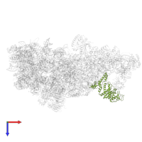 Pescadillo homolog in PDB entry 8ev3, assembly 1, top view.