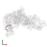 Ribosome biogenesis protein nsa2 in PDB entry 8ev3, assembly 1, front view.