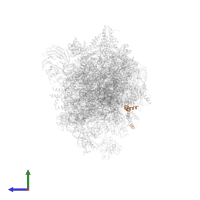 Ribosome biogenesis protein nsa2 in PDB entry 8ev3, assembly 1, side view.