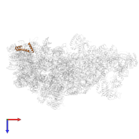 Ribosome biogenesis protein nsa2 in PDB entry 8ev3, assembly 1, top view.