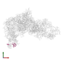 Ribosome biogenesis protein rlp24 in PDB entry 8ev3, assembly 1, front view.