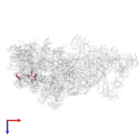 Ribosome biogenesis protein rlp24 in PDB entry 8ev3, assembly 1, top view.
