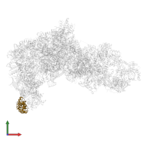 Eukaryotic translation initiation factor 6 in PDB entry 8ev3, assembly 1, front view.