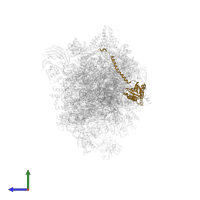 Ribosome biogenesis protein brx1 in PDB entry 8ev3, assembly 1, side view.