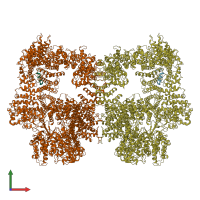 PDB entry 8ez9 coloured by chain, front view.