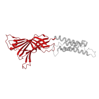 The deposited structure of PDB entry 8f34 contains 5 copies of Pfam domain PF02931 (Neurotransmitter-gated ion-channel ligand binding domain) in Neurotransmitter-gated ion-channel ligand-binding domain-containing protein. Showing 1 copy in chain E [auth A].