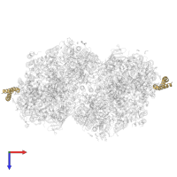 Photosystem II reaction center protein Z in PDB entry 8f4c, assembly 1, top view.