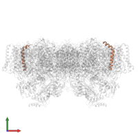 Photosystem II reaction center protein Y in PDB entry 8f4c, assembly 1, front view.