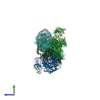 PDB entry 8f5t coloured by chain, side view.