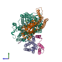 Hetero tetrameric assembly 1 of PDB entry 8f68 coloured by chemically distinct molecules, side view.