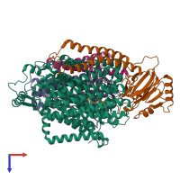 Hetero tetrameric assembly 1 of PDB entry 8f68 coloured by chemically distinct molecules, top view.