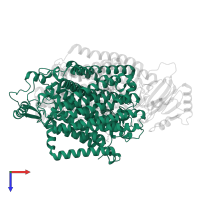 Cytochrome bo(3) ubiquinol oxidase subunit 1 in PDB entry 8f68, assembly 1, top view.