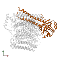 Cytochrome bo(3) ubiquinol oxidase subunit 2 in PDB entry 8f68, assembly 1, front view.