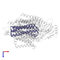 Cytochrome bo(3) ubiquinol oxidase subunit 3 in PDB entry 8f68, assembly 1, top view.