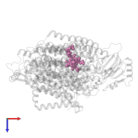 HEME O in PDB entry 8f68, assembly 1, top view.