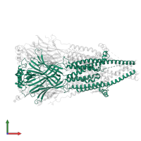 Acetylcholine receptor subunit alpha in PDB entry 8f6y, assembly 1, front view.