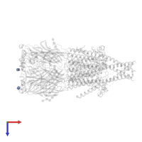 2-acetamido-2-deoxy-beta-D-glucopyranose in PDB entry 8f6z, assembly 1, top view.