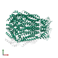 Soluble cytochrome b562 in PDB entry 8f74, assembly 1, front view.