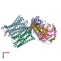 PDB entry 8f7r coloured by chain, top view.