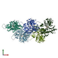 PDB entry 8f8p coloured by chain, front view.