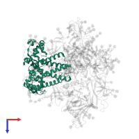 Transmembrane protein gp41 in PDB entry 8fad, assembly 1, top view.