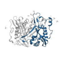 The deposited structure of PDB entry 8fbq contains 1 copy of Pfam domain PF02799 (Myristoyl-CoA:protein N-myristoyltransferase, C-terminal domain) in Glycylpeptide N-tetradecanoyltransferase. Showing 1 copy in chain A.